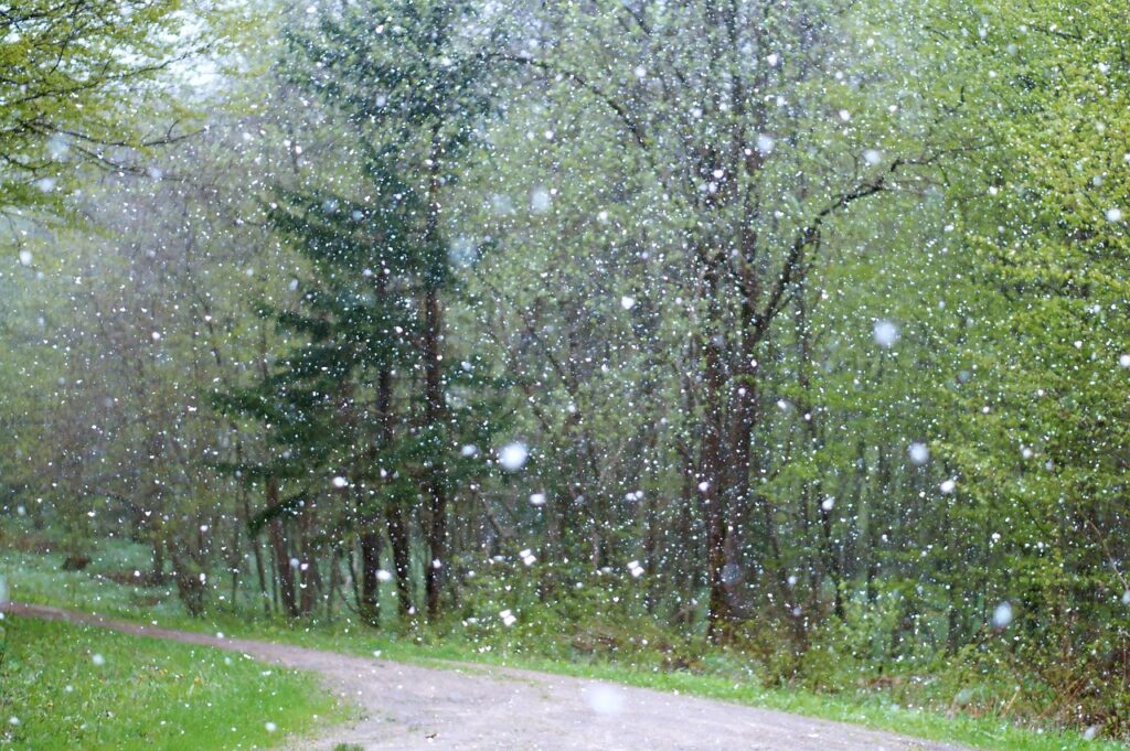 rain, weather, poorly, background, snow, winter, wallpaper 4k, window, cool backgrounds, storm, free background, hail, white, season, nature, art, hd wallpaper, snowy, blurred, rainy, night sky, cold, water, wallpaper hd, landscape, frozen, nature background, mac wallpaper, sky, travels, outdoors, 4k wallpaper 1920x1080, beautiful wallpaper, the fall, blue, blue sky, the effect, design, textures, tree, windows wallpaper, forest, wet, fog, beautiful nature, laptop wallpaper, desktop backgrounds, sky background, wind, night, autumn, 4k wallpaper, green, free wallpaper, nature wallpaper, light, the woods, full hd wallpaper, in the morning, wallpaper, snowfall, beautiful, scene, beauty