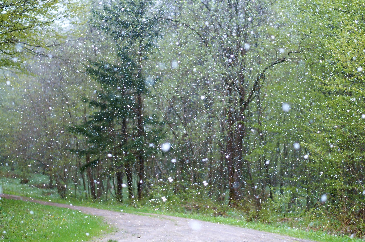 rain, weather, poorly, background, snow, winter, wallpaper 4k, window, cool backgrounds, storm, free background, hail, white, season, nature, art, hd wallpaper, snowy, blurred, rainy, night sky, cold, water, wallpaper hd, landscape, frozen, nature background, mac wallpaper, sky, travels, outdoors, 4k wallpaper 1920x1080, beautiful wallpaper, the fall, blue, blue sky, the effect, design, textures, tree, windows wallpaper, forest, wet, fog, beautiful nature, laptop wallpaper, desktop backgrounds, sky background, wind, night, autumn, 4k wallpaper, green, free wallpaper, nature wallpaper, light, the woods, full hd wallpaper, in the morning, wallpaper, snowfall, beautiful, scene, beauty
