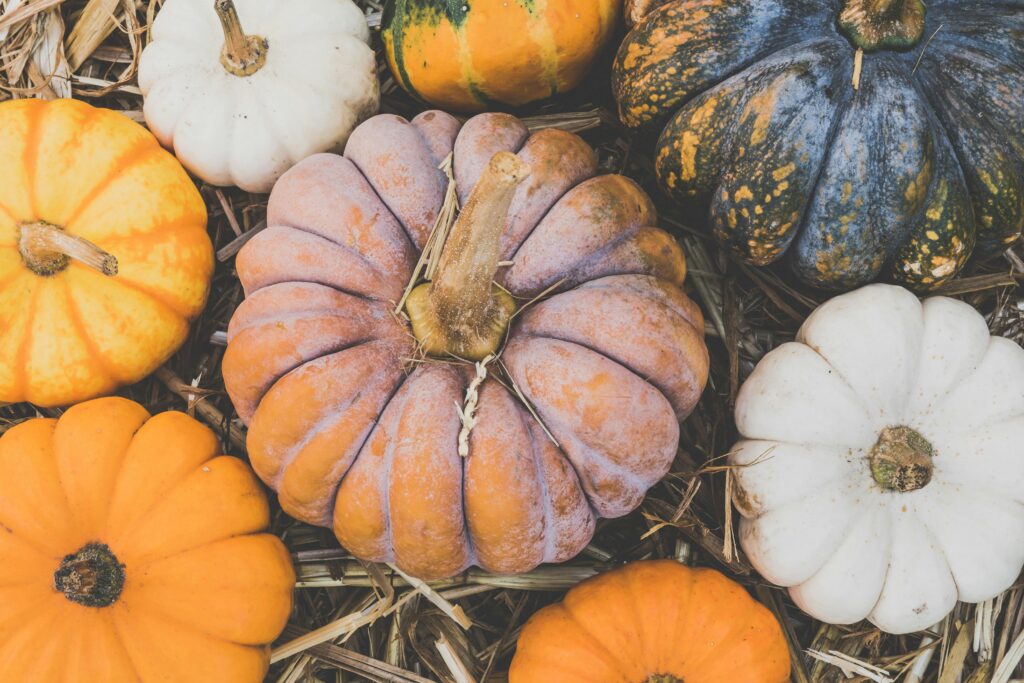 A vibrant assortment of pumpkins in different colors and shapes displayed on straw. Perfect for autumn themes.