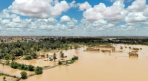 Submission to the National Emergency Management Agency (NEMA)Disaster Recovery Funding Framework Consultation Team